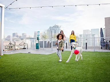 Rooftop Lounge and Grill. Dog park and Yoga Den