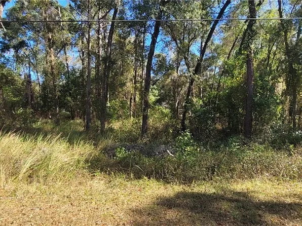 3627 S Fitch Ave, Inverness, FL 34452