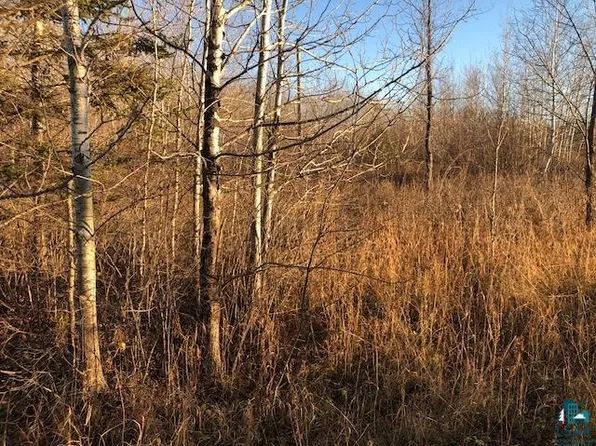 11410 S Hendrickson Rd, Maple, WI 54854