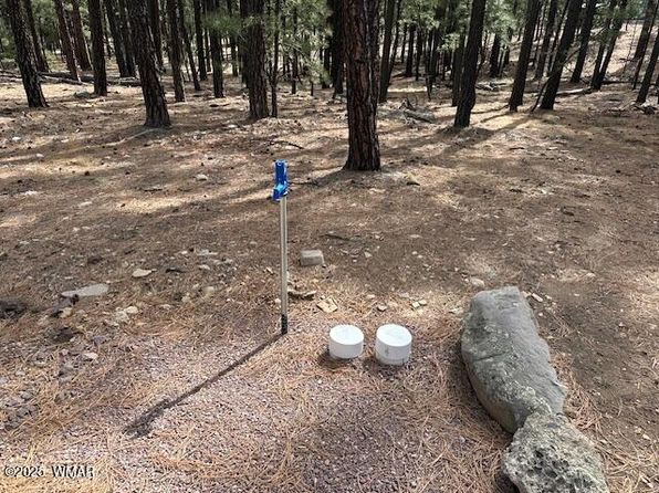 63 County Road 2271, Alpine, AZ 85920
