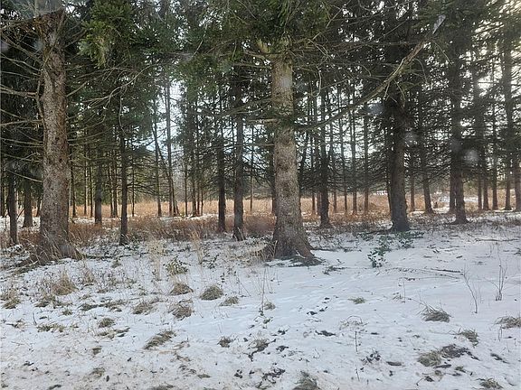3rd image of 246 Ridgewood Rd