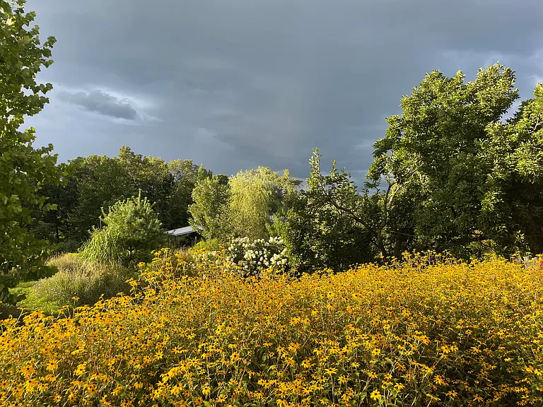 Summer Gardens