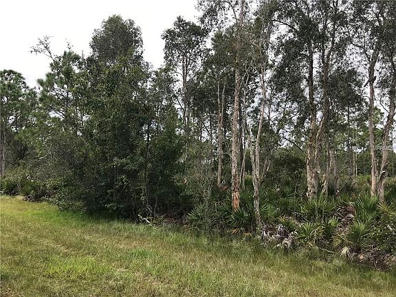 4th image of 12299 Camphor Dr