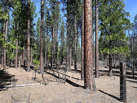 2nd image of 0 Pine Shadows Rd