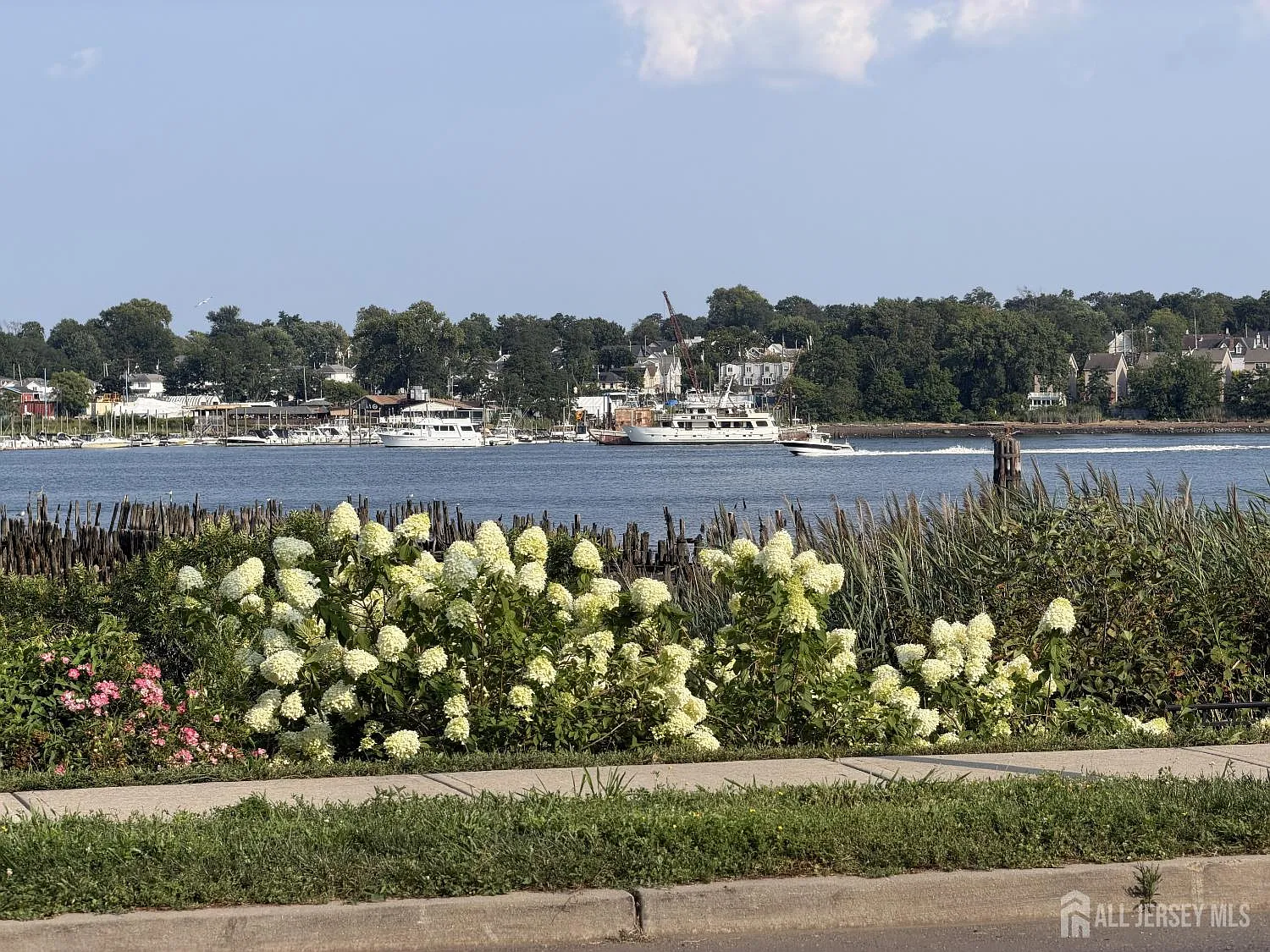 2 bed, 1.5 bath, 1132 sqft, $2,550 — Photo 3