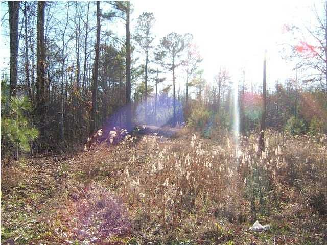 2nd image of 137 Canyon Dr