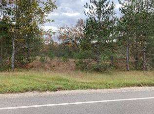 Hoxeyville, Wellston, MI 49689