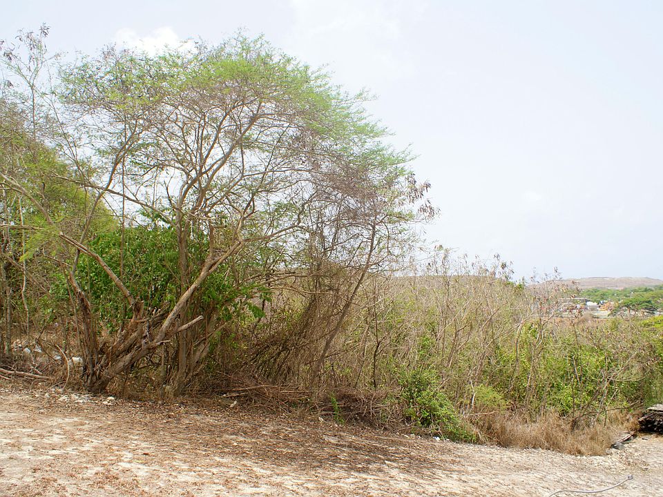 2nd image of 69 I Corp Lands Pr