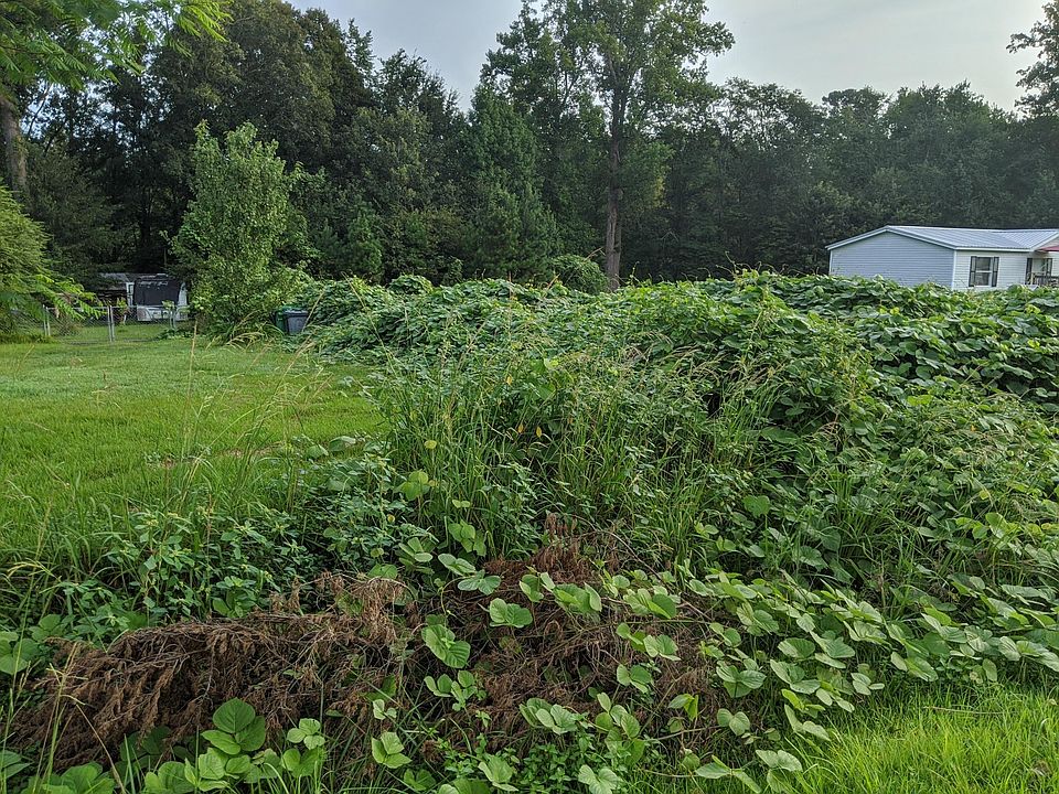 1st image of 134 Pike Dr
