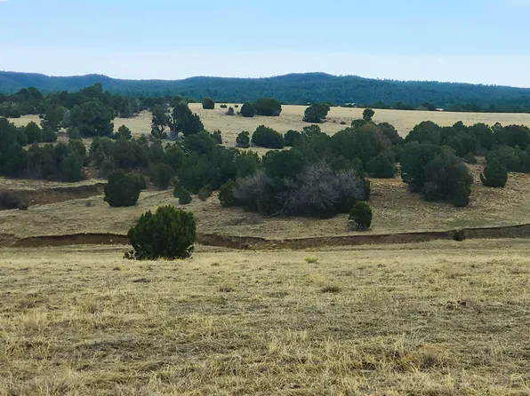 County Road 312, Walsenburg, CO 81089