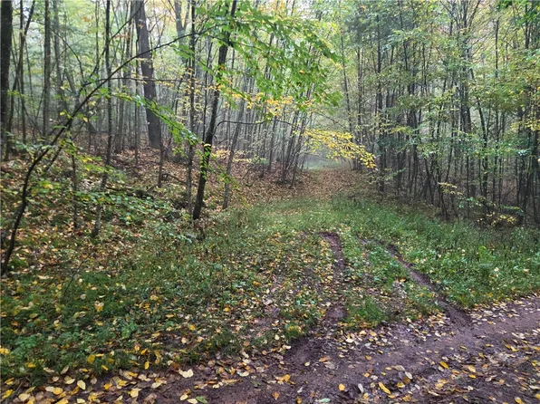 Chandas Way Lot 15, Laurens, NY 13796