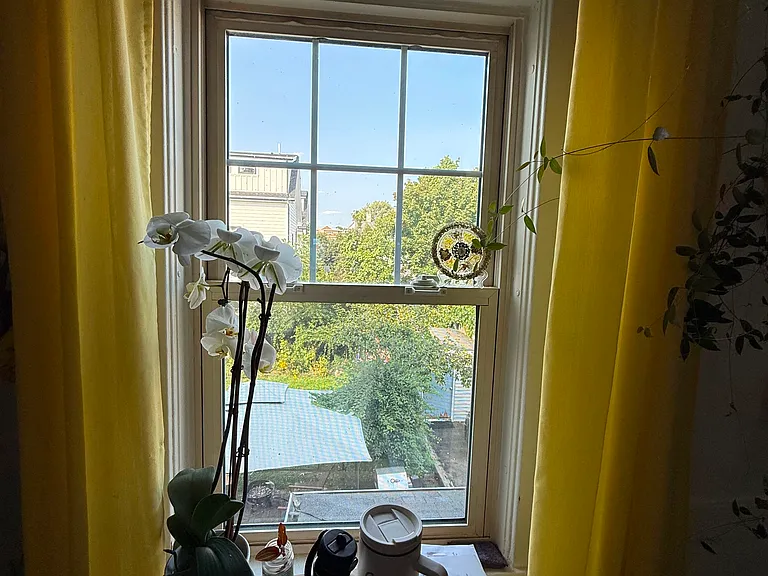 122 Hawthorn St #2 — Photo 8