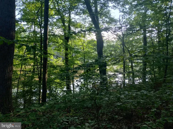 8226 Foneswood Ln, Manassas, VA 20112