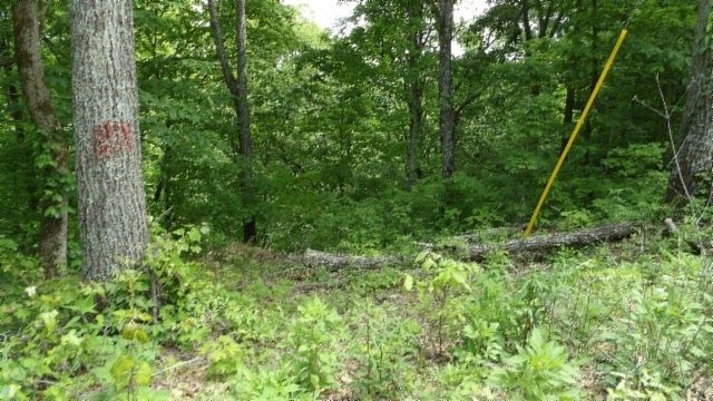 1st image of 0 Rock Springs Rd Lot 176