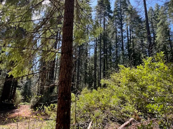 0 Juniper Ln, Strawberry Valley, CA 95981