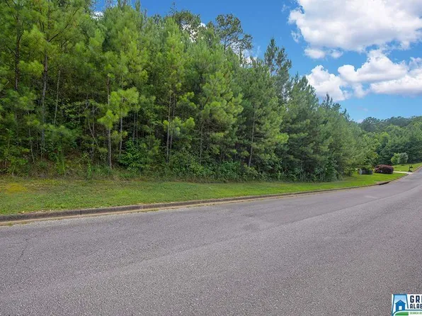 3029 Long Branch Dr, Calera, AL 35040