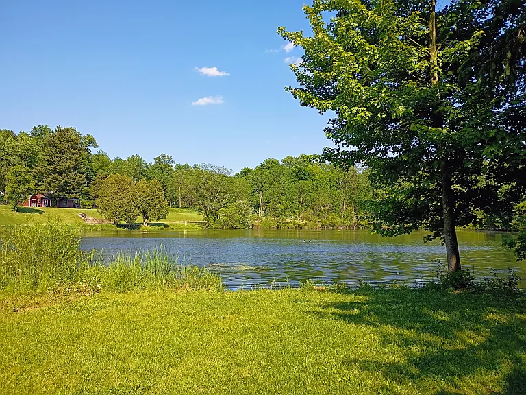 10 Deer Lk — Photo 38