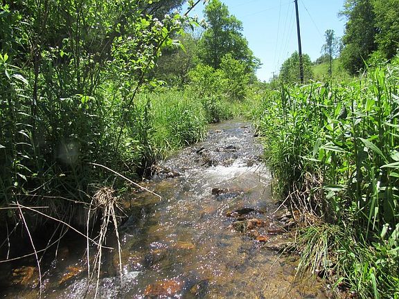 4th image of Danville Pike