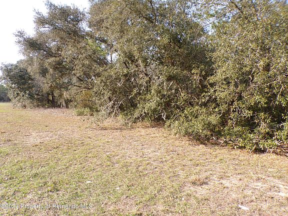 3rd image of 3741 W Citrus Springs Blvd