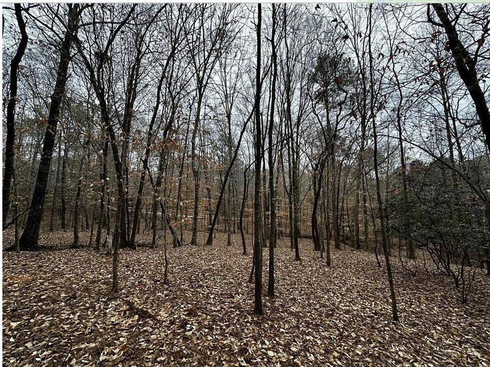 1st image of 0 Lee Road 367