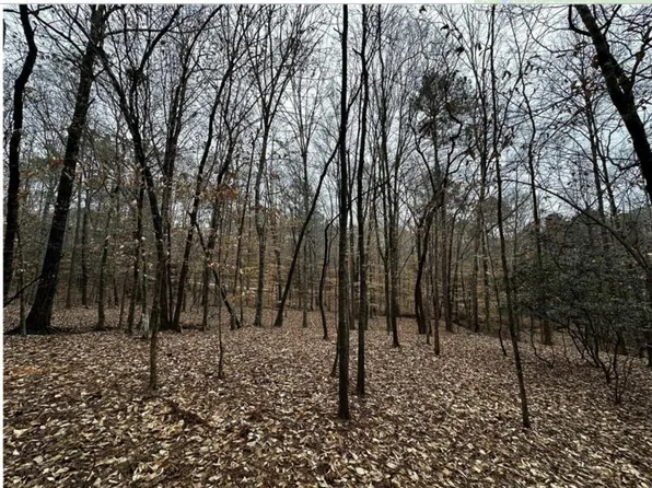0 Lee Road 367, Valley, AL 36854