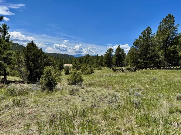 Tr42 Cres #329, Westcliffe, CO 81252