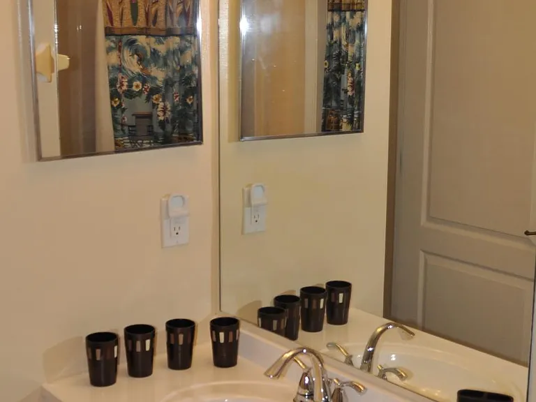 Guest bathroom