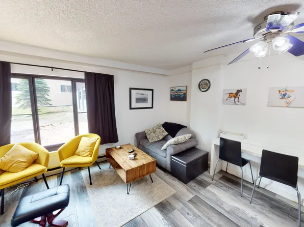 862 Silver Creek Dr #1102, Snowshoe, WV 26209