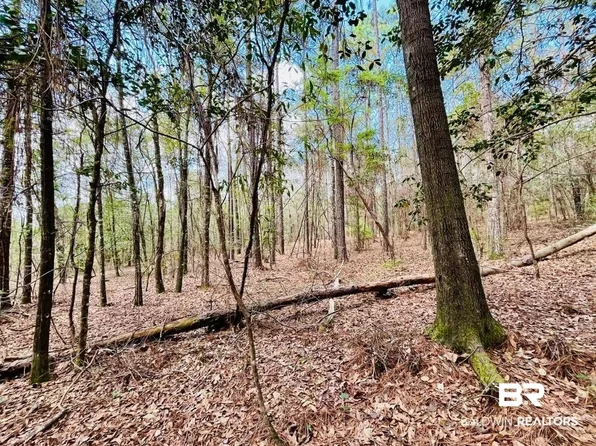 2 Phillipsville Rd, Bay Minette, AL 36507