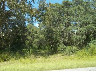 139 W Olympia St, Hernando, FL 34442