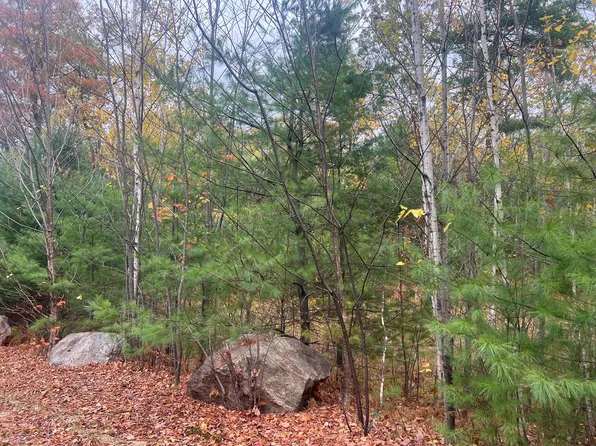 Lot 29 Deer View Road, Bethel, ME 04217