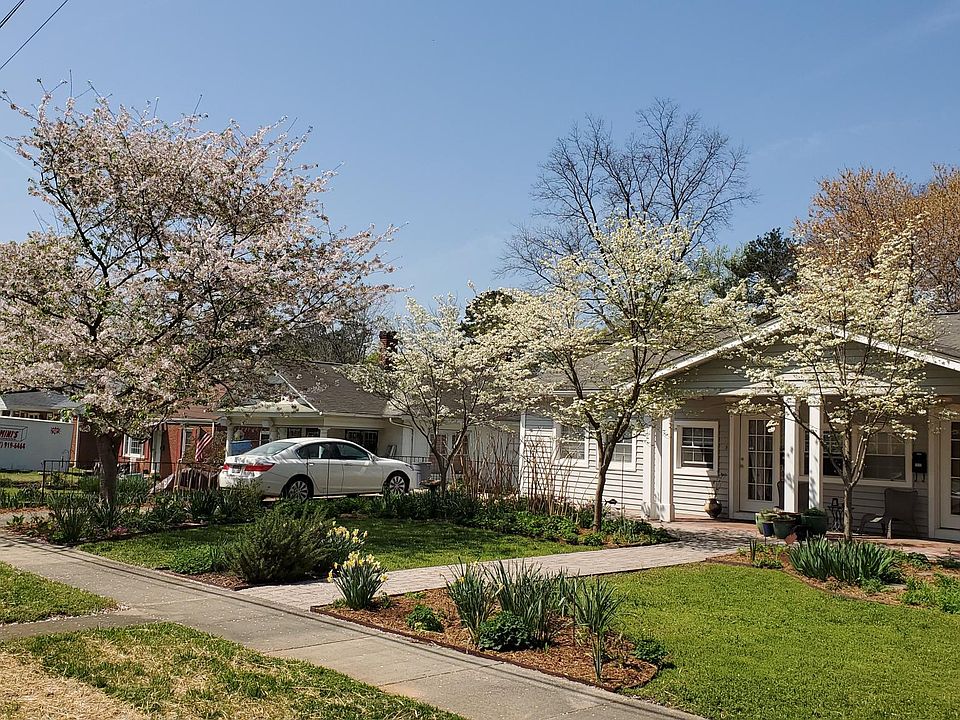 Front Yard in Spring