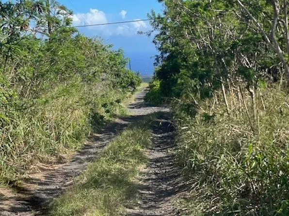 Amepela Rd Lot 3, Naalehu, HI 96772