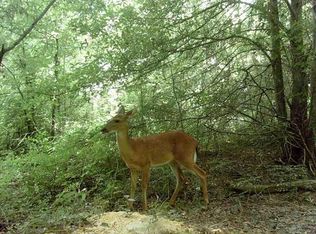 2193 Macon Front Rd, Oak Grove, LA 71263