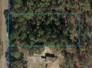 LOT 20 SE 124th Ct LOT 20, Dunnellon, FL 34431