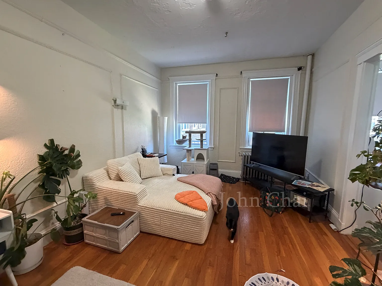 Studio, 575 sqft, $2,165 — Photo 3