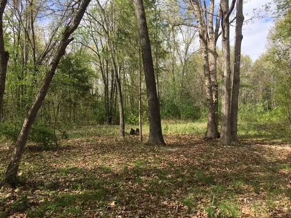 21397 Howell Road, Mountain View, MO 65548