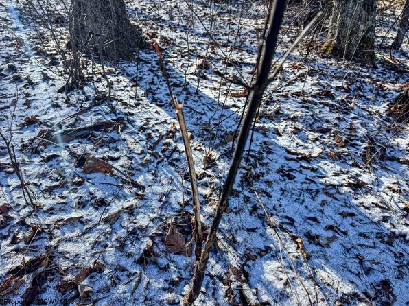 Lantz Ridge Rd, Rowlesburg, WV 26425