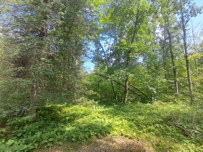 White Tail Dr, Danbury, WI, 54830