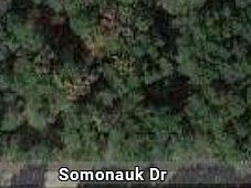 1st image of 43 W Somonauk Dr #43
