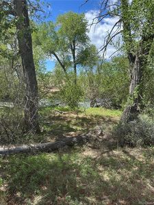 Lot 109 Alamosa River Estates, Capulin, CO, 81124