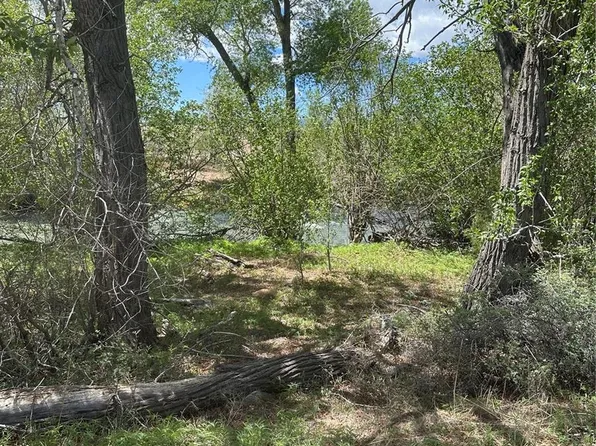 Lot 109 Alamosa River Estates, Capulin, CO 81124