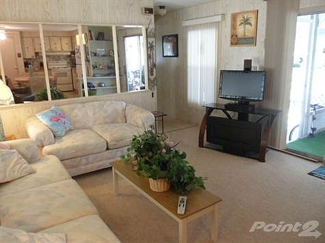 Large Living Room
