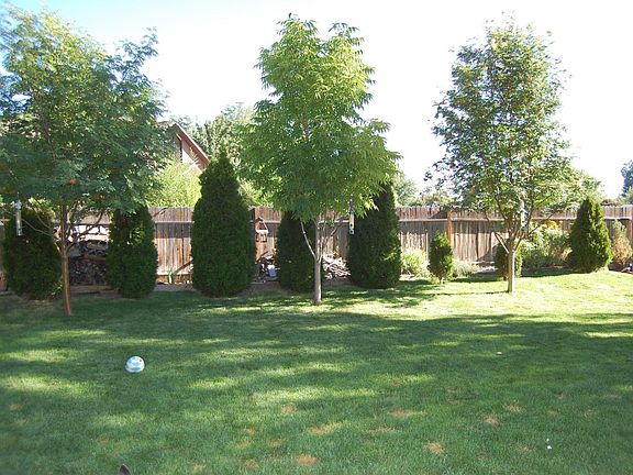 Back yard