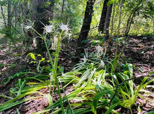 Pin 4699 Elkins Rd, Grant, AL 35747