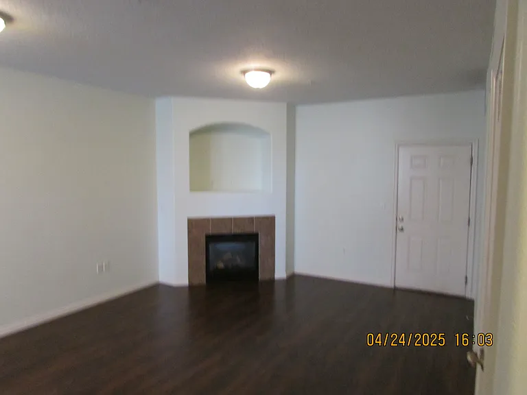 Living room/entrance door