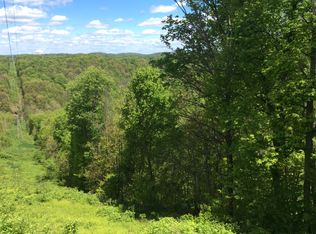 46 Ridgeland Dr, Toronto, OH 43964