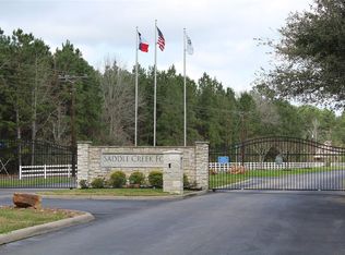 29960 Pinto Ln, Waller, TX 77484