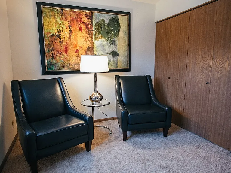 Closet in Den Area