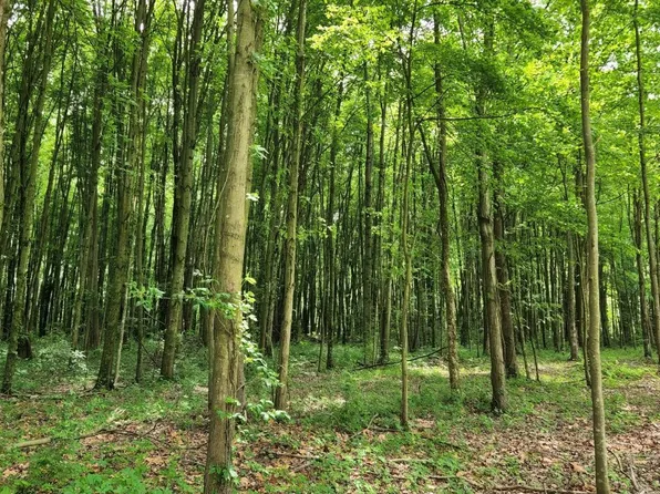 3 Crane Schoolhouse Rd, Bethel, OH 45106